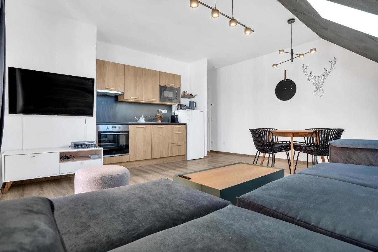 Mirabel Apartments Klinovec Лоучна-под-Кліновцем Екстер'єр фото