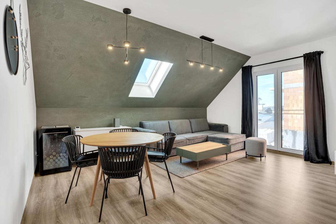 Mirabel Apartments Klinovec Лоучна-под-Кліновцем Екстер'єр фото